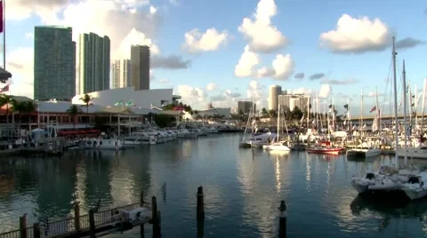 Miami bayside 스톡 동영상 1090798
