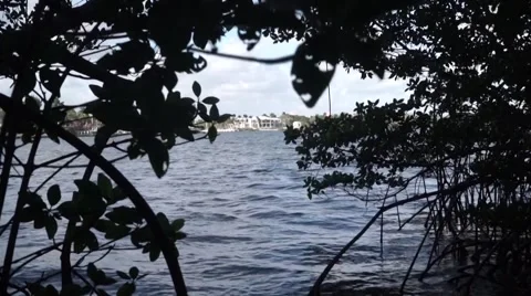 Miami Beach coastline Stock Footage 54164854
