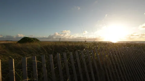 Miami Beach at Dawn Stock Footage 28921080