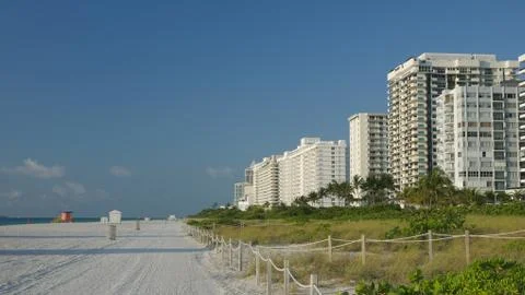 Miami Beach, Florida beach sunset men walking with dog Foto stock