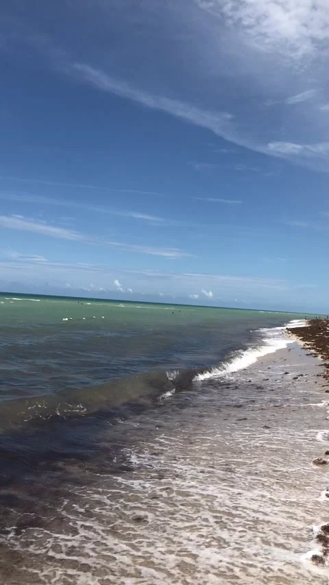 Miami Beach, Florida 스톡 동영상 161785492