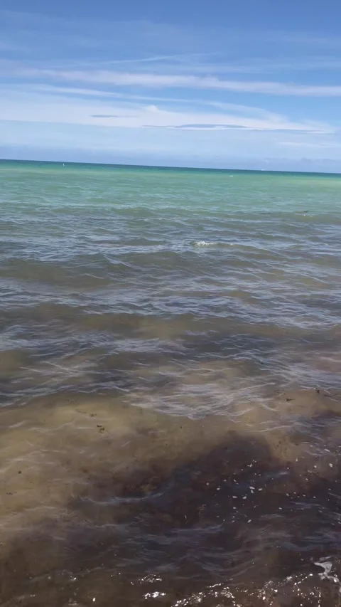 Miami Beach, Florida 스톡 동영상 161785500