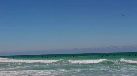 Miami beach Video stock 21730833