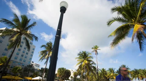 Miami Beach Video stock 49748528