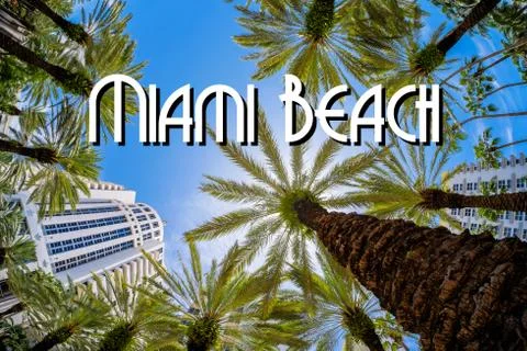 Miami beach Stock-Illustration