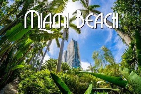 Miami beach Stock-Illustration