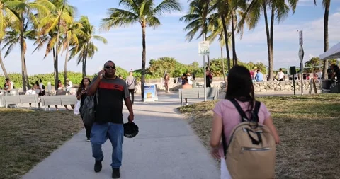 Miami Beach Lummus Park on weekend Fresh market 스톡 동영상 243512431