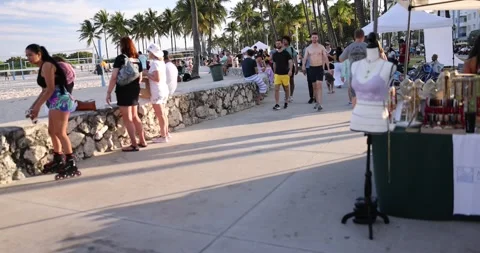 Miami Beach Lummus Park on weekend Fresh market Stock Footage 243512435