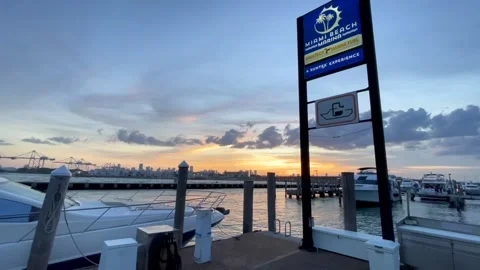 Miami beach marina docks Stock Footage 158418124
