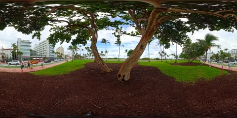 Miami Beach Ocean Drive under the trees of Lummus Park 8k 360 video Stock Footage 283881450