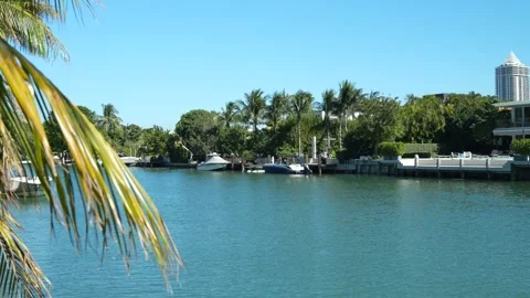 Miami Beach Oceanside View 動画素材 272152841