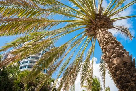 Miami beach Stock-Fotos