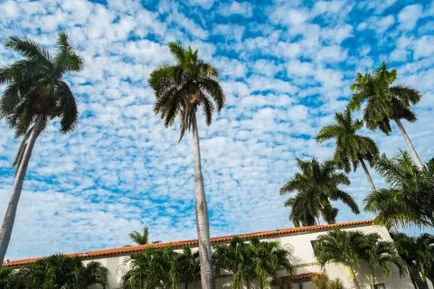 Miami beach Stock Photos