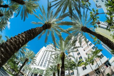 Miami beach Foto stock