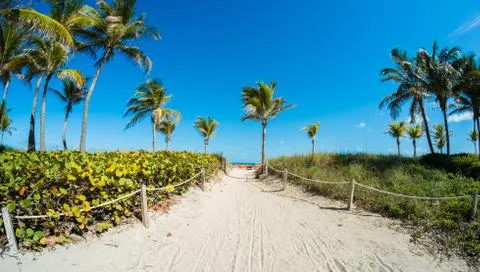 Miami beach Stock Photos