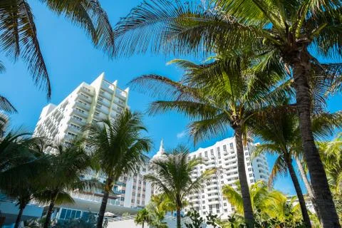 Miami beach Stock Photos