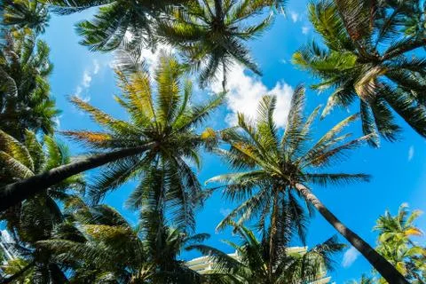 Miami beach Stock Photos