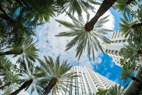 Miami beach Stock Photos