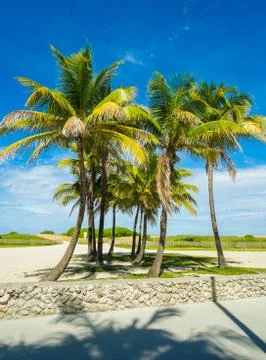Miami beach Stock Photos