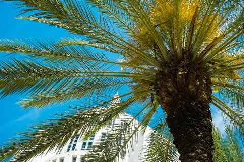 Miami beach Stock Photos