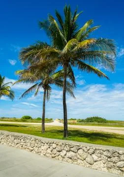 Miami beach Stock Photos