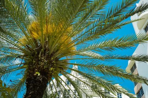 Miami beach Stock Photos