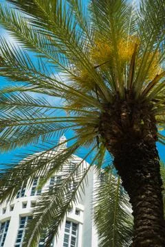 Miami beach Stock Photos