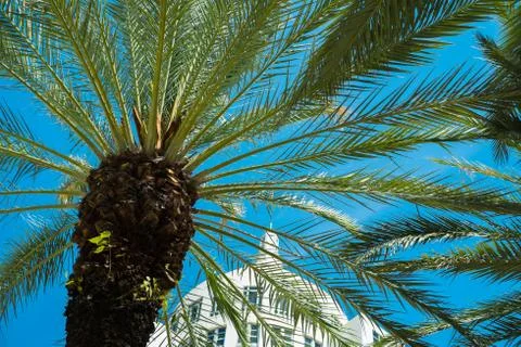 Miami beach Stock Photos