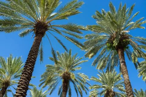 Miami beach Stock Photos