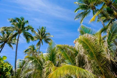 Miami beach Stock Photos