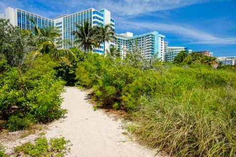 Miami beach Stock Photos