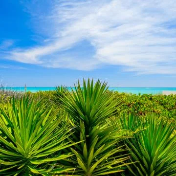 Miami beach Stock Photos
