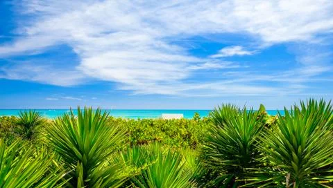 Miami beach Stock Photos