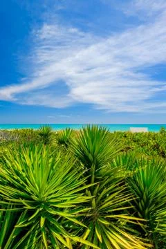 Miami beach Stock Photos