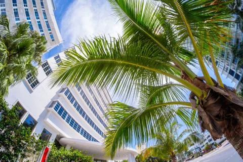 Miami beach Stock Photos