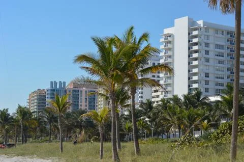 Miami Beach 写真素材