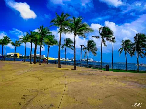 Miami beach 스톡 사진