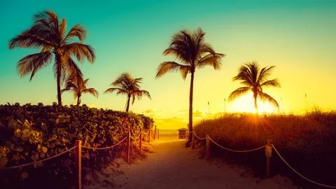 Miami beach 스톡 사진