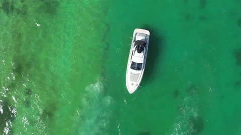 Miami Beach Regatta 4 Video stock 233631129