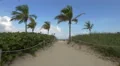 Miami Beach seaside in 4K, Florida 4k or 4k+ Resolution