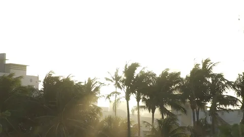 Miami Beach Sunset Slow Motion 120fps Stock Footage