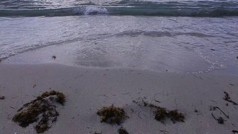 MIami Beach - Wave Stock Footage 94293367