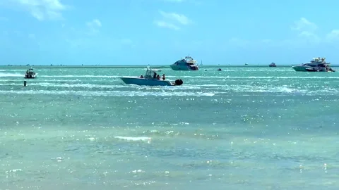 Miami boat show spring break in the bay Stock Footage 152018290