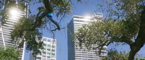 Miami Buildings  Stock Footage 159010492