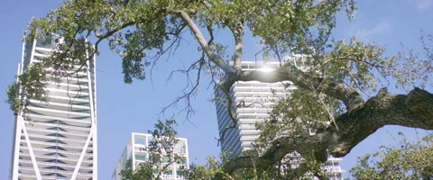 Miami Buildings  Stock Footage 159010572