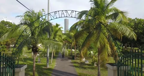 Miami cemetery1 Video stock 138070004