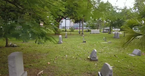 Miami cemetery3 Video stock 138070006