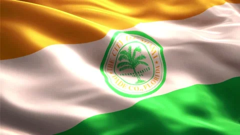 Miami city Flag Video stock 235855049
