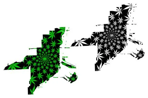 Miami city - map is designed cannabis leaf Stock Illustration