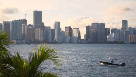 Miami Cityscape Видео 129622875